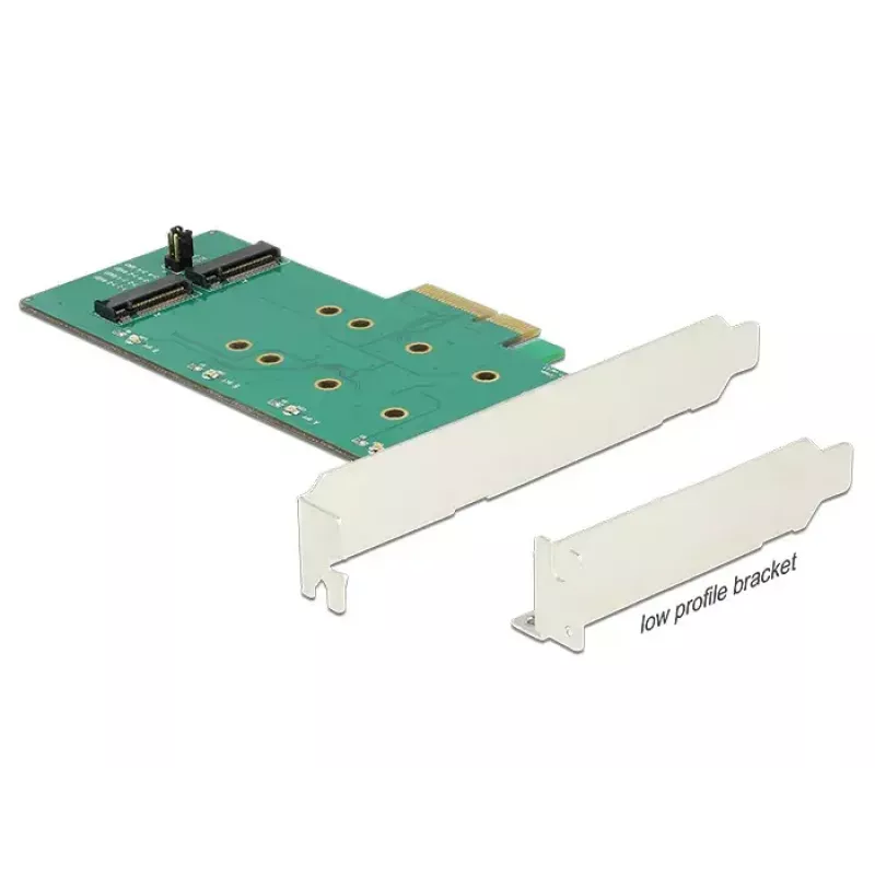 Vidinis M.2 adapteris DeLOCK 89536