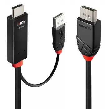 Lindy 1 m HDMI į DisplayPort laidas su USB Type-A maitinimu