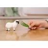 schleich Valais Blacknose ėriukas