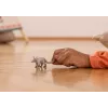 Žaislinė figūrėlė Schleich WILD LIFE Aardvark pilka 14863S Rekomenduojamas amžius 3 metai