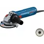 Bosch GWS 12-125 Professional kampinis šlifuoklis 125 mm 11000 aps./min 1200 W 2,2 kg