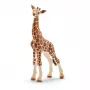 Figūrėlė Schleich WILD LIFE Žirafos jauniklis
