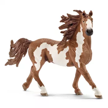 Schleich FARM WORLD Pinto eržilas