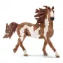 Schleich FARM WORLD Pinto eržilas