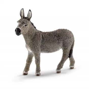 schleich FARM WORLD Asiliukas, 3 m., Ūkis, Ūkio gyvūnai / žaisliniai gyvūnai, Įvairiaspalvis, Plastikas, 1 vnt.
