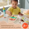 Mattel muzikos dovanų rinkinys su mediniais instrumentais mažiems vaikams