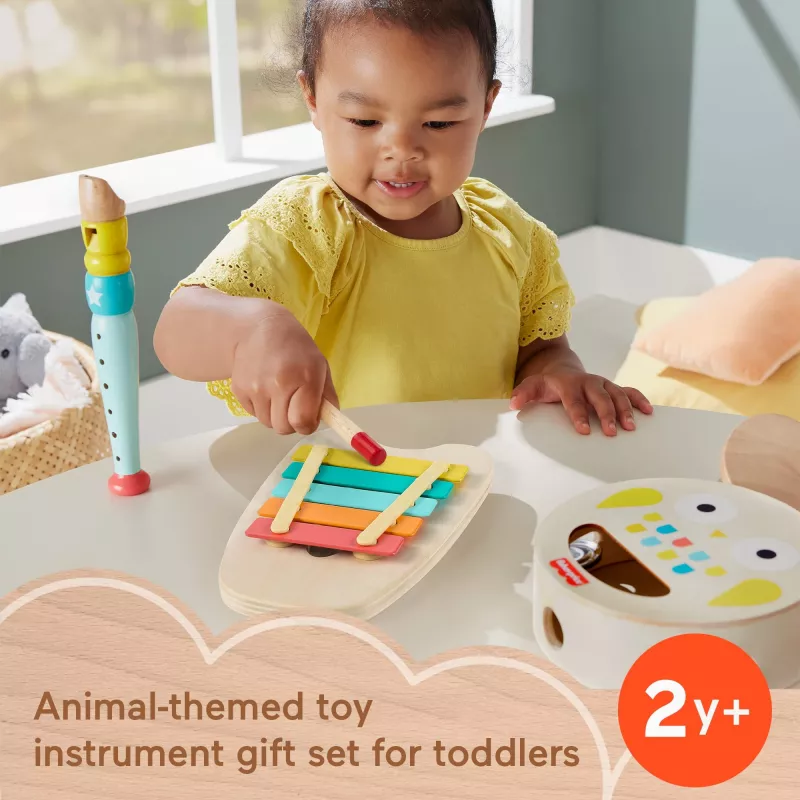 Mattel muzikos dovanų rinkinys su mediniais instrumentais mažiems vaikams