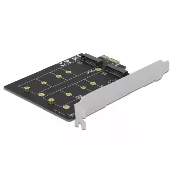 Vidinė M.2 adapterio plokštė DeLOCK 90432