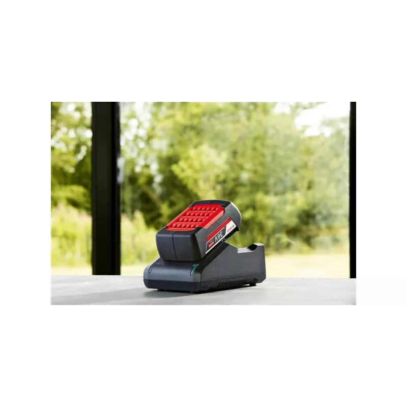 Bosch F016800609 belaidžio įrankio akumuliatoriaus ir įkroviklio rinkinys