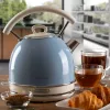 Ariete 2877 Virdulys Vintage, 1,7 L, belaidis, šviesiai mėlynas
