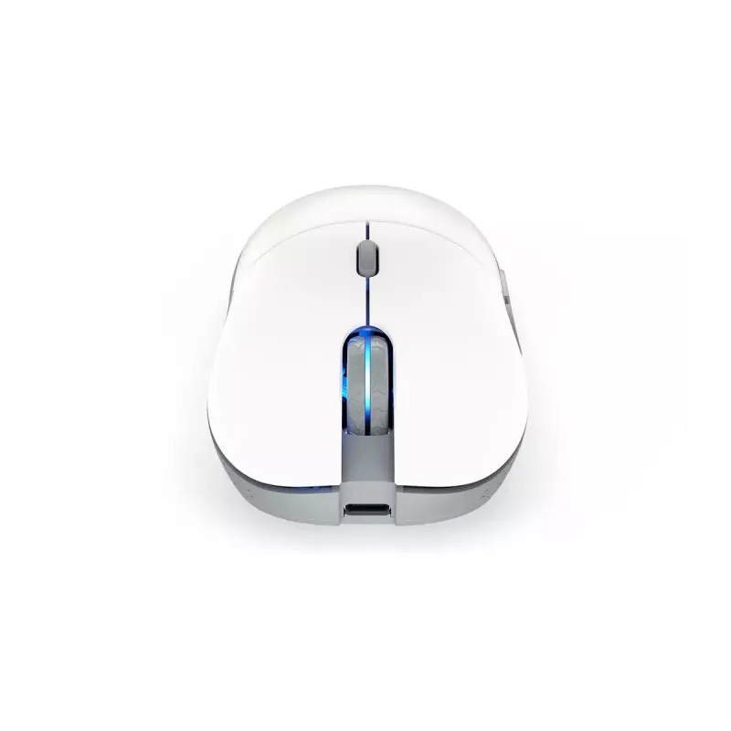 Pelė ENDORFY GEM Plus Wireless Onyx White belaidė RF + USB Type-C
