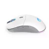 Pelė ENDORFY GEM Plus Wireless Onyx White belaidė RF + USB Type-C