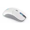 Pelė ENDORFY GEM Plus Wireless Onyx White belaidė RF + USB Type-C