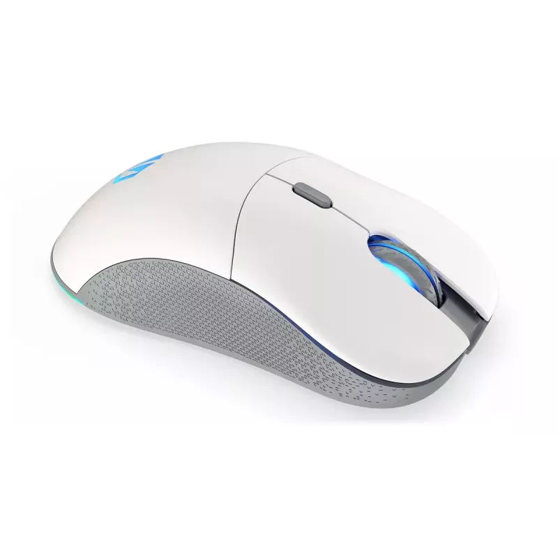 Pelė ENDORFY GEM Plus Wireless Onyx White belaidė RF + USB Type-C