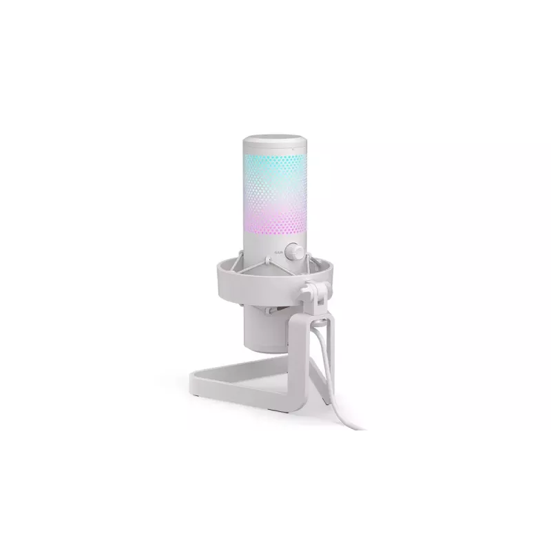 Mikrofonas PC ENDORFY AXIS Streaming White – USB, kardioidinis, 30–18 kHz, 192 kHz/24 bit, stalinis stovas, nutildymas, ausinių išvestis