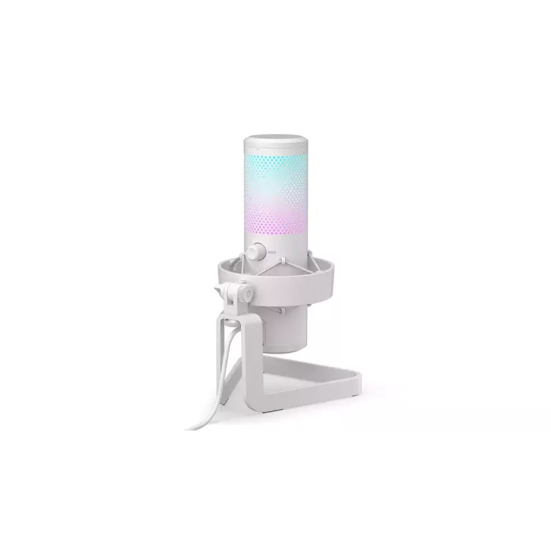 Mikrofonas PC ENDORFY AXIS Streaming White – USB, kardioidinis, 30–18 kHz, 192 kHz/24 bit, stalinis stovas, nutildymas, ausinių išvestis