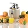 Elektrinė citrusinių vaisių spaudė Ariete 0413/03 0.6L 85W Smėlio spalvos