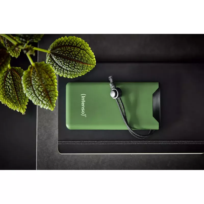 Nešiojamas powerbankas Intenso 7332037 10000 mAh