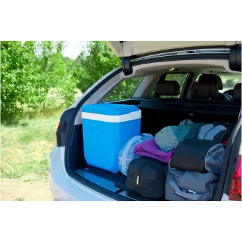 Šaldymo dėžė Campingaz Icetime Plus 26L Mėlyna