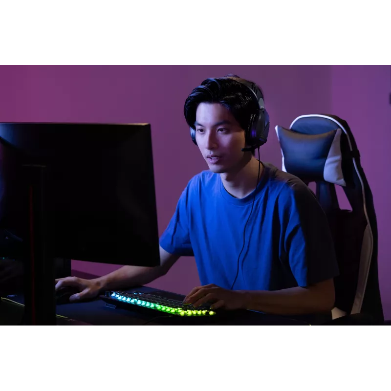 Ausinės Turtle Beach Recon 70