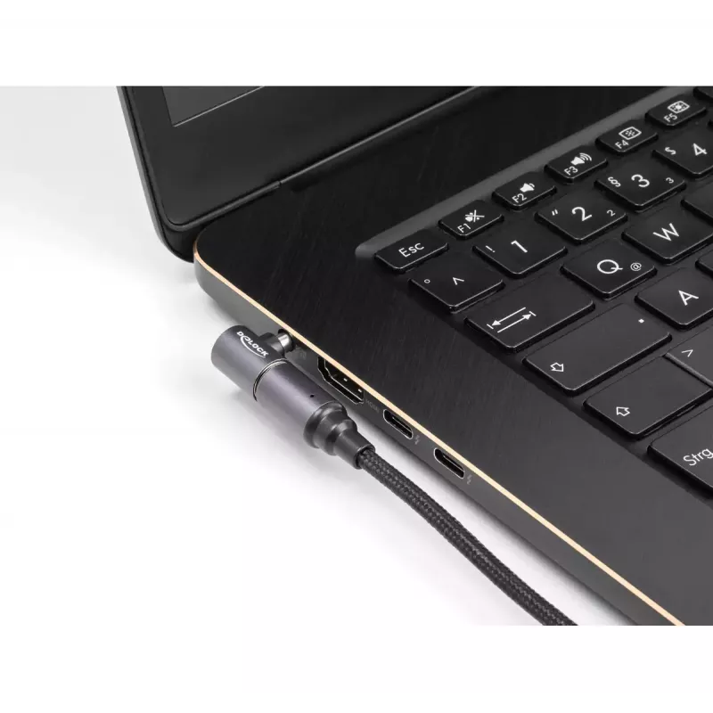 DeLOCK USB Type-C į magnetinį 8 kontaktų jungtį nešiojamojo kompiuterio įkrovimo laidas 1,8 m