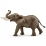 schleich WILD LIFE Afrikos dramblys, patinas
