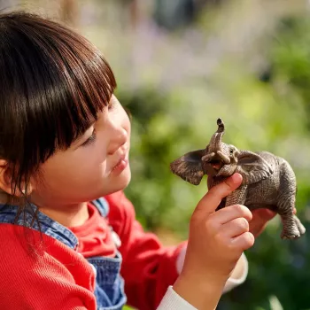 schleich WILD LIFE Afrikos dramblys, patinas
