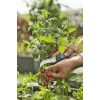 Genėjimo žirklės Gardena VeggieCut juodos/žalios, nerūdijančio plieno ašmenys