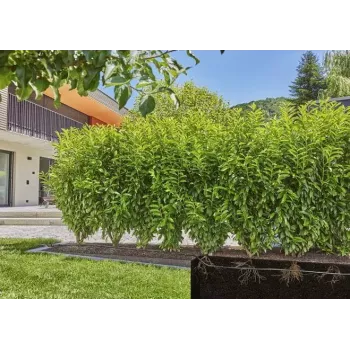 Laistymo sistema Gardena 13500-20
