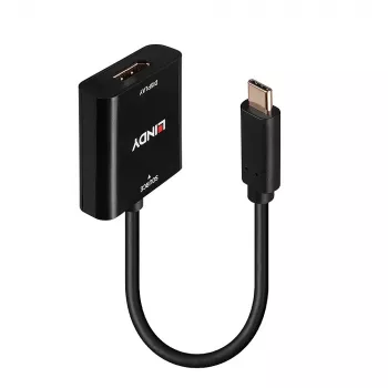 Lindy USB Type C į DisplayPort 4K144 keitiklis, USB Type-C, DisplayPort išvestis, 3840 x 2160 pikselių