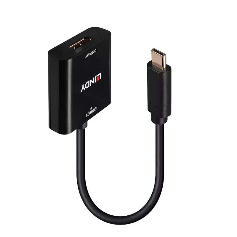 Lindy USB Type C į DisplayPort 4K144 keitiklis, USB Type-C, DisplayPort išvestis, 3840 x 2160 pikselių