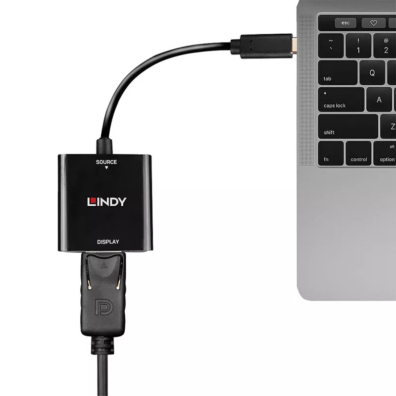 Lindy USB Type C į DisplayPort 4K144 keitiklis, USB Type-C, DisplayPort išvestis, 3840 x 2160 pikselių