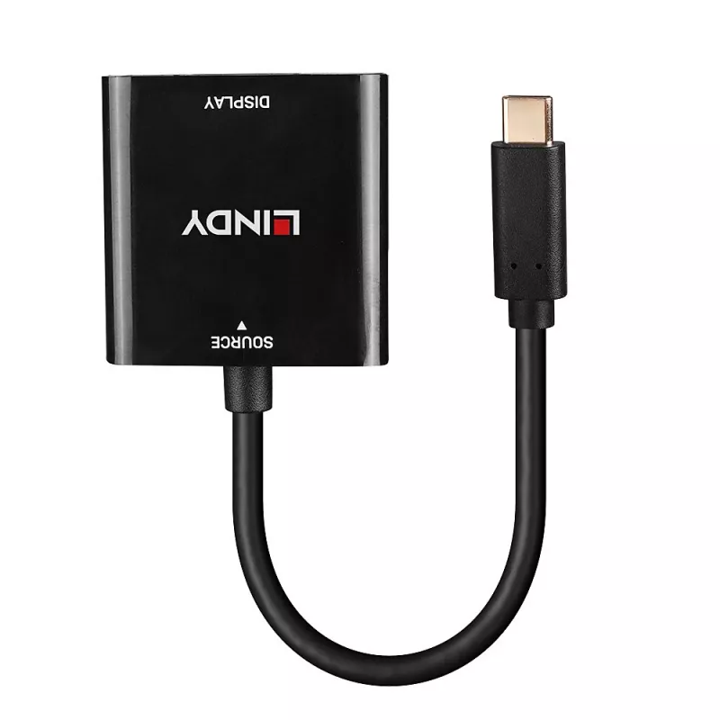 Lindy USB Type C į DisplayPort 4K144 keitiklis, USB Type-C, DisplayPort išvestis, 3840 x 2160 pikselių