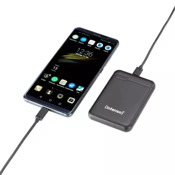 Intenso 7313520 Power Bank 5000 mAh – nešiojamas įkroviklis