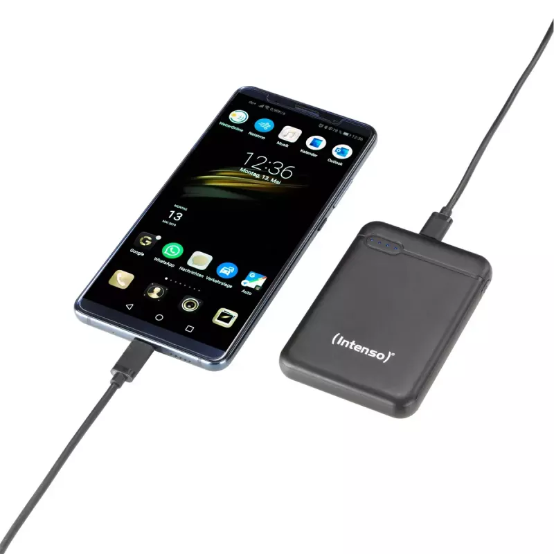 Intenso 7313520 Power Bank 5000 mAh – nešiojamas įkroviklis