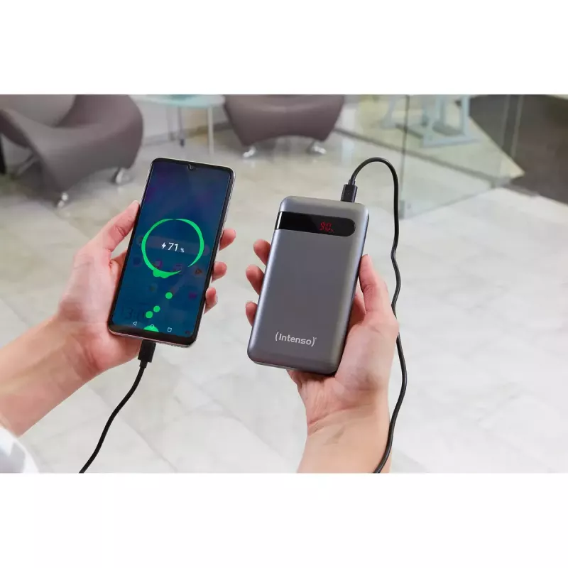Nešiojamas akumuliatorius Intenso PD10000 10000 mAh