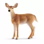 Schleich WILD LIFE Baltoji elnė