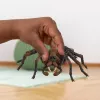 schleich Harry Potter Aragog figūrėlė