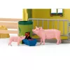 schleich FARM WORLD Didelis ūkis su gyvūnais ir aksesuarais, Ūkis, 3 m., Įvairiaspalvis, Plastikas