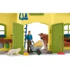 schleich FARM WORLD Didelis ūkis su gyvūnais ir aksesuarais, Ūkis, 3 m., Įvairiaspalvis, Plastikas