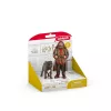 Schleich Hagrid ir Fang – Harry Potter™ figūrėlių rinkinys, nuo 6 metų, įvairiaspalvis, plastikas
