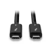 Lindy 1m Thunderbolt 4 laidas, 40Gbps, pasyvus, vyriškas, vyriškas, 1 m, 40 Gbit/s, Juoda, Nikelis/Auksas