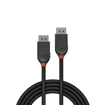 DisplayPort kabelis Lindy 2m DisplayPort 1.2 juodas
