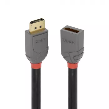 Lindy 1m DisplayPort 1.4 prailginimo laidas, Anthra Line, 1 m, DisplayPort, DisplayPort, Kištukas, Lizdas, 7680 x 4320 pikselių