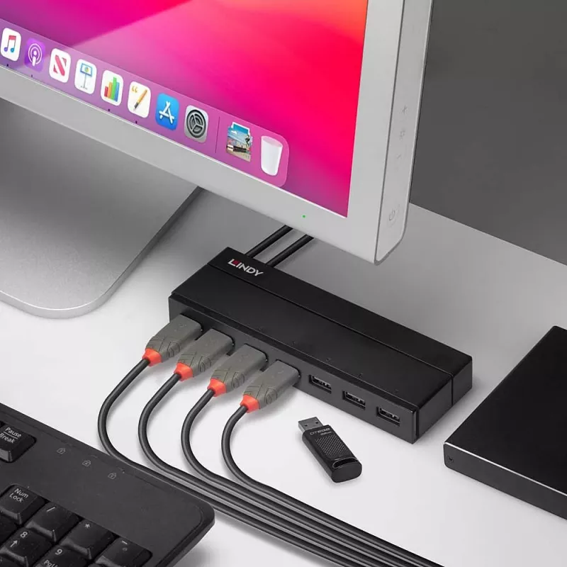 Lindy 7 portų USB 3.0 šakotuvas su įkrovimo funkcija, juodas
