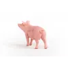 Schleich kiaulės figūrėlė 13933, rožinė, rekomenduojama nuo 3 metų