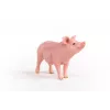 Schleich kiaulės figūrėlė 13933, rožinė, rekomenduojama nuo 3 metų