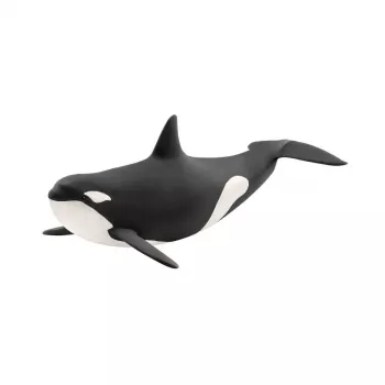 Figūrėlė Schleich WILD LIFE Banginis Žudikas