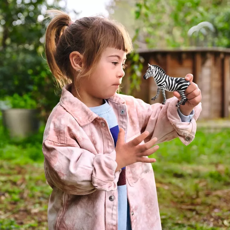 schleich WILD LIFE Zebra patelė, 3 metų, Safaris, Laukiniai gyvūnai / nuotykių žaislai, Įvairiaspalvė, Plastikas, 1 vnt.
