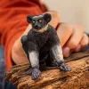 Figūrėlė Schleich WILD LIFE Indri įvairiaspalvė 14877S Rekomenduojamas amžius 3 metai